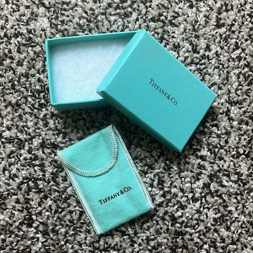 Tiffany & Co box / bag jewelry accessories little blue box luxury Tiffany’s gift